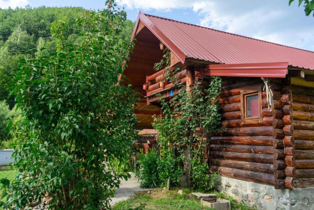 Plav Riverside Village Exterior foto